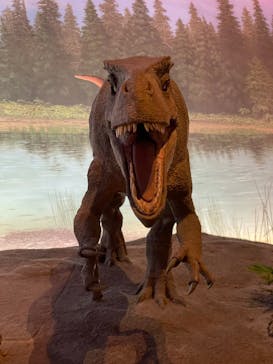 福井県立恐竜博物館に投稿された画像（2024/8/12）