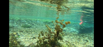 ボンファイアー（日光カヌー・カヤック体験）に投稿された画像（2024/8/12）