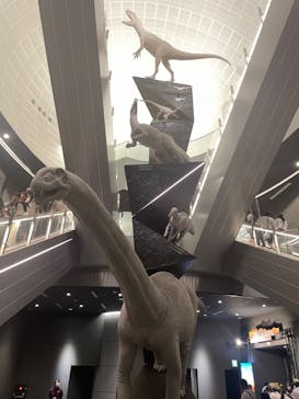 福井県立恐竜博物館に投稿された画像（2024/8/12）