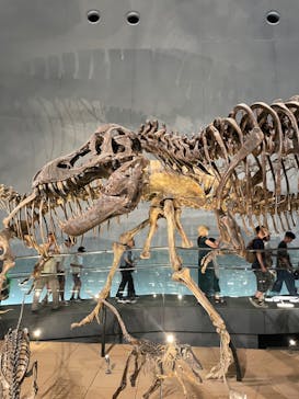 福井県立恐竜博物館に投稿された画像（2024/8/12）