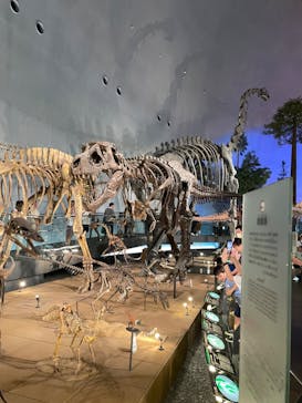 福井県立恐竜博物館に投稿された画像（2024/8/12）