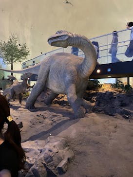 福井県立恐竜博物館に投稿された画像（2024/8/12）