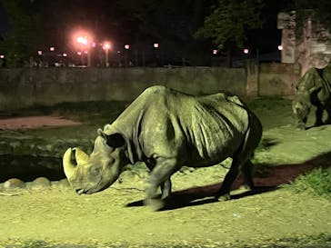 日立市かみね動物園に投稿された画像（2024/8/12）