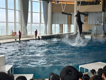 アクアワールド茨城県大洗水族館に投稿された画像（2024/8/12）