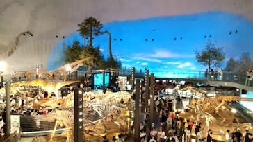福井県立恐竜博物館に投稿された画像（2024/8/12）
