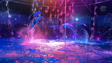 マクセル アクアパーク品川に投稿された画像（2024/8/12）