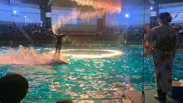 マクセル アクアパーク品川に投稿された画像（2024/8/12）