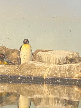 マクセル アクアパーク品川に投稿された画像（2024/8/12）