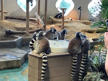 NIFREL（ニフレル）に投稿された画像（2024/8/12）