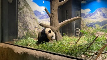 恩賜上野動物園に投稿された画像（2024/8/12）