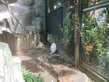 恩賜上野動物園に投稿された画像（2024/8/12）