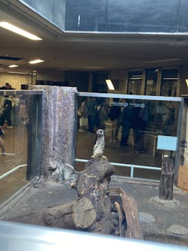 恩賜上野動物園に投稿された画像（2024/8/12）