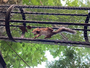 恩賜上野動物園に投稿された画像（2024/8/12）