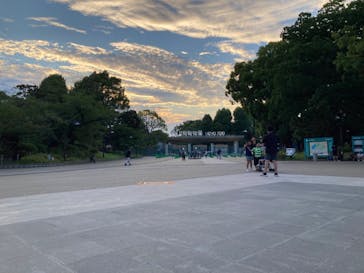 恩賜上野動物園に投稿された画像（2024/8/12）