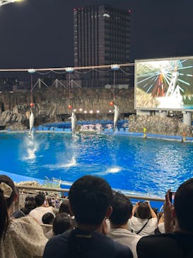 名古屋港水族館に投稿された画像（2024/8/12）