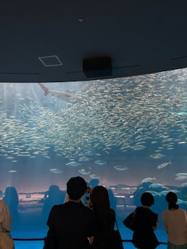 名古屋港水族館に投稿された画像（2024/8/12）