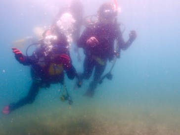 ダイビングショップPeaceful（ピースフル）に投稿された画像（2024/8/12）