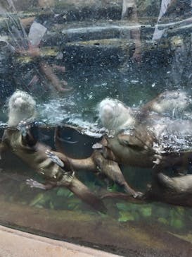 那須どうぶつ王国に投稿された画像（2024/8/12）