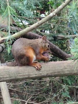 那須どうぶつ王国に投稿された画像（2024/8/12）