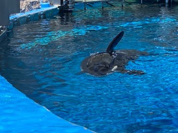 名古屋港水族館に投稿された画像（2024/8/12）