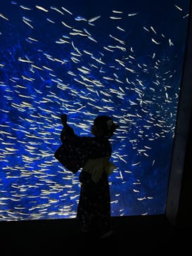 大分マリーンパレス水族館 「うみたまご」に投稿された画像（2024/8/12）