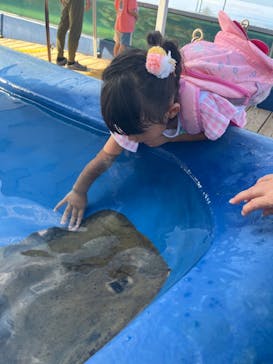 大分マリーンパレス水族館 「うみたまご」に投稿された画像（2024/8/12）