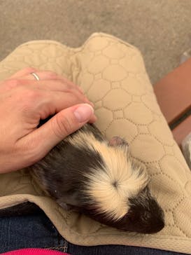 秋吉台自然動物公園 サファリランドに投稿された画像（2024/8/13）