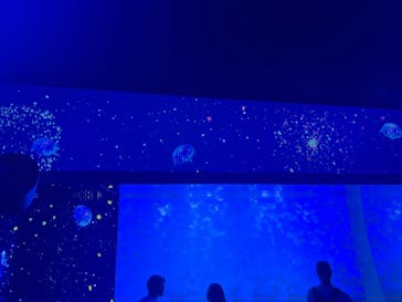 アクアワールド茨城県大洗水族館に投稿された画像（2024/8/13）