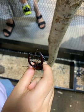 JOYPOLIS 特別イベントスペースに投稿された画像（2024/8/13）