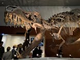 DinoScience 恐竜科学博 ～ララミディア大陸の恐竜物語～ 2024@OSAKAに投稿された画像（2024/8/13）