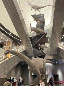 福井県立恐竜博物館に投稿された画像（2024/8/13）