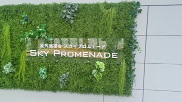 屋外展望台スカイプロムナードに投稿された画像（2024/8/13）