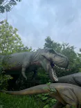福井県立恐竜博物館に投稿された画像（2024/8/12）
