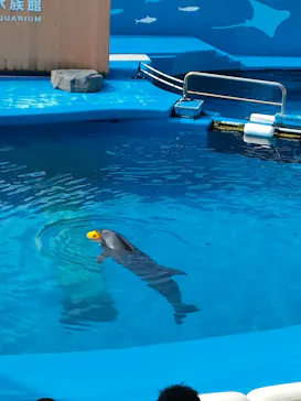 仙台うみの杜水族館に投稿された画像（2024/8/13）