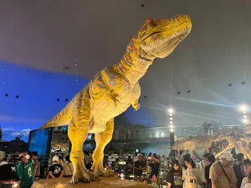福井県立恐竜博物館に投稿された画像（2024/8/13）
