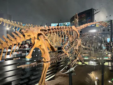 福井県立恐竜博物館に投稿された画像（2024/8/13）