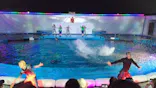 仙台うみの杜水族館に投稿された画像（2024/8/13）