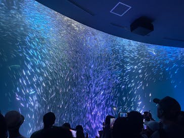 名古屋港水族館に投稿された画像（2024/8/13）