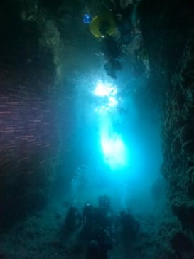 武藤潜水に投稿された画像（2024/8/13）