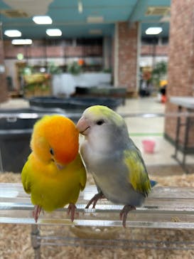 いきもの探検隊上尾に投稿された画像（2024/8/12）