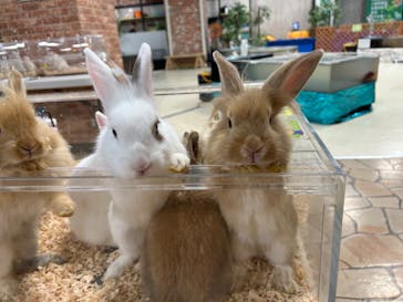 いきもの探検隊上尾に投稿された画像（2024/8/12）