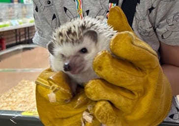 いきもの探検隊上尾に投稿された画像（2024/8/12）