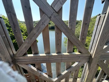 ニジゲンノモリに投稿された画像（2024/8/13）