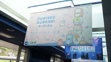 アクアワールド茨城県大洗水族館に投稿された画像（2024/8/13）