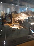 福井県立恐竜博物館に投稿された画像（2024/8/13）