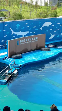 仙台うみの杜水族館に投稿された画像（2024/8/13）