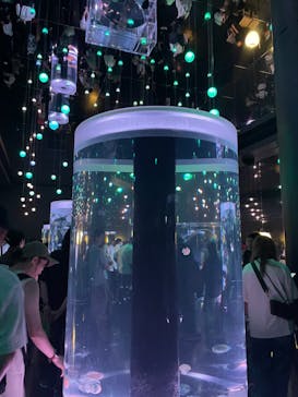 マクセル アクアパーク品川に投稿された画像（2024/8/13）