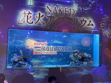 マクセル アクアパーク品川に投稿された画像（2024/8/13）