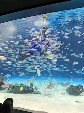 サンシャイン水族館に投稿された画像（2024/8/13）