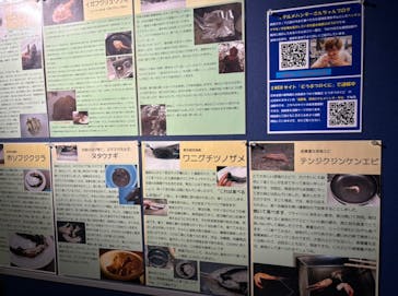 竹島水族館に投稿された画像（2024/8/13）